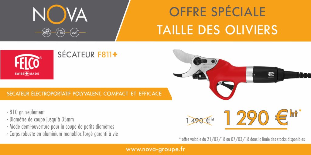 secateur FELCO F811+ taille des oliviers